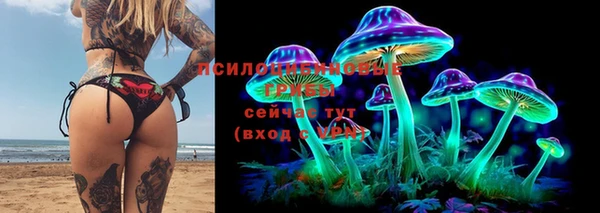 метамфетамин Алексеевка