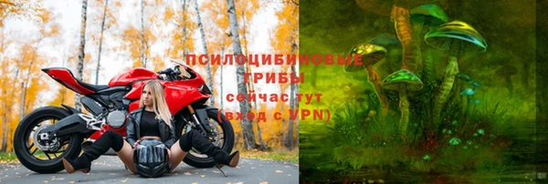 скорость Алексин
