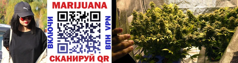 kraken зеркало  Кирс  Шишки марихуана Ganja 